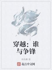 穿越：谁与争锋