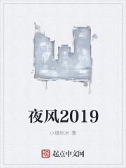 夜风2019