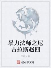 暴力法师之尼古拉斯赵四