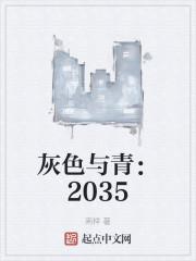 灰色与青：2035