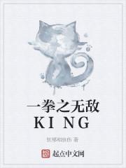 一拳之无敌KING