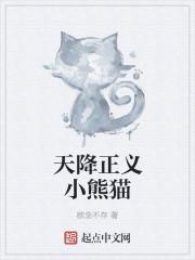 天降正义小熊猫