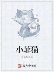 小菲猫