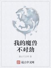 我的魔兽不对劲