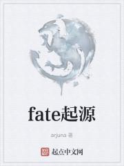 fate起源