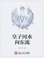 皇子河水向东流