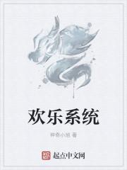 欢乐系统