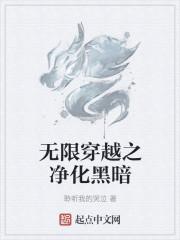 无限穿越之净化黑暗