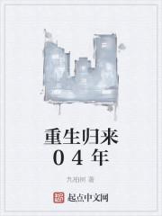 重生归来04年