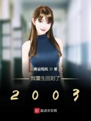 我重生回到了2003